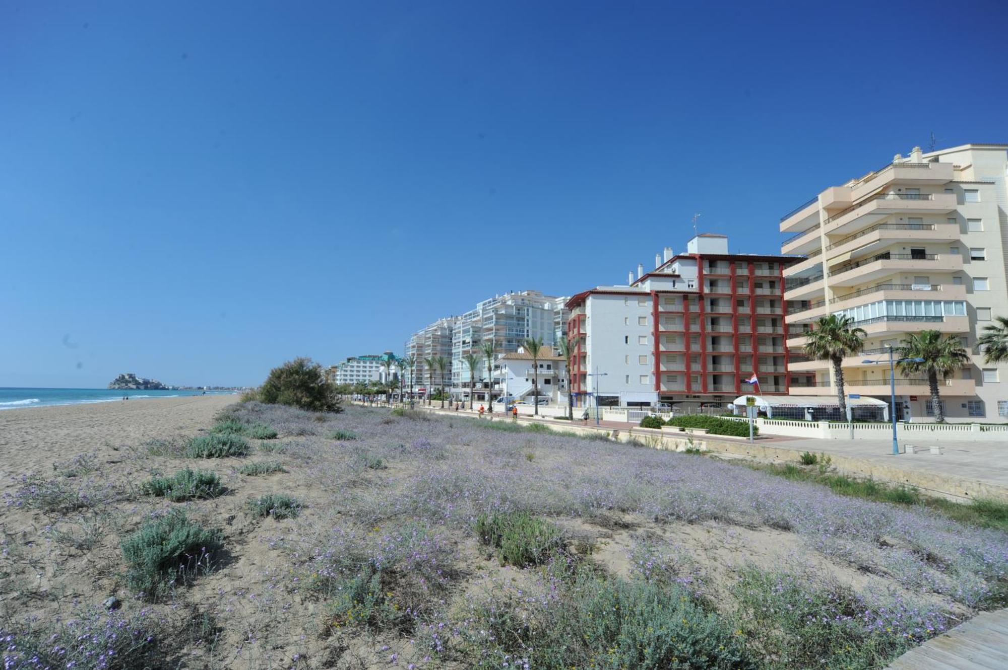 Marina Vistamar Orangecosta Apartment Peniscola Bagian luar foto